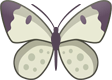 Zegris Art Butterfly